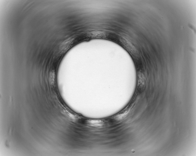 X0000094970189200712271751