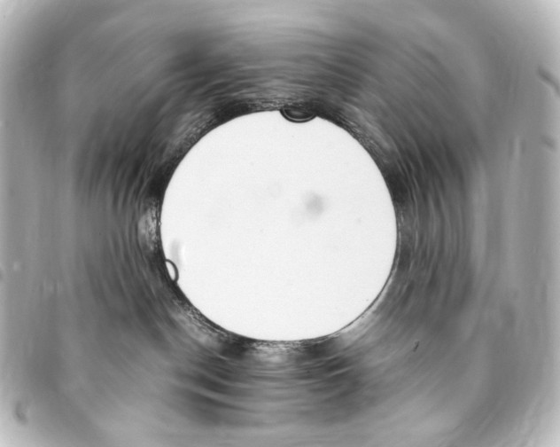 X0000094970190200712271751