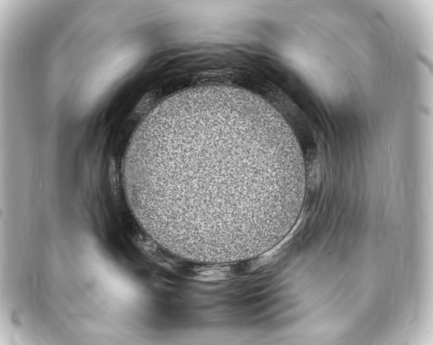 X0000094970191200712271751