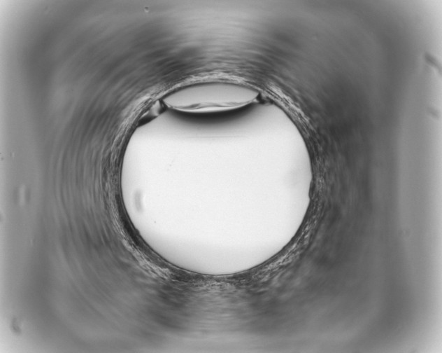 X0000094970193200712271750