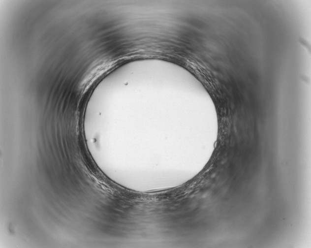 X0000094970194200712271750