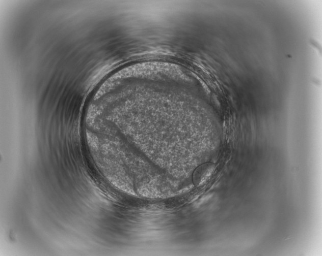 X0000094970196200712271750