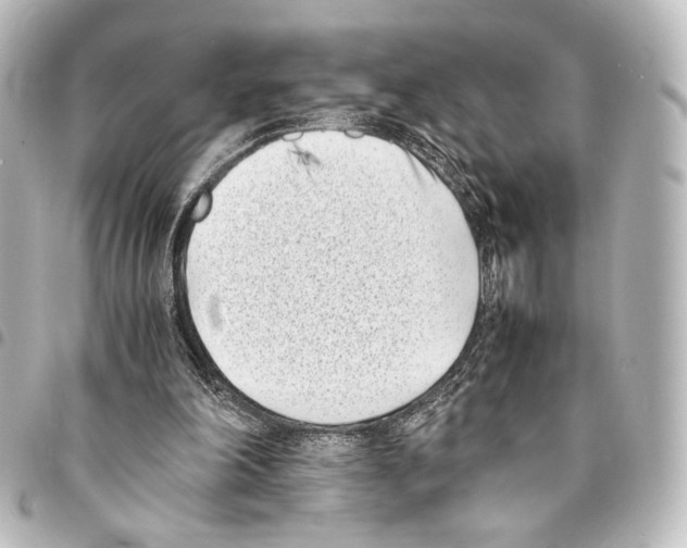 X0000094970198200712271750