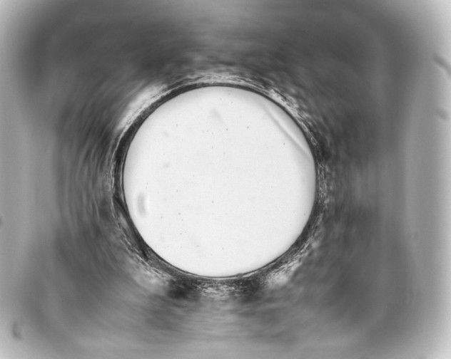 X0000094970199200712271750