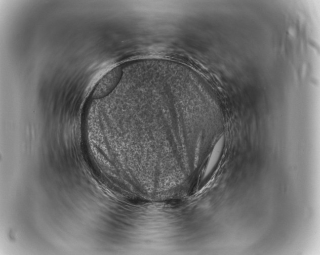 X0000094970200200712271750