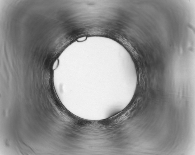 X0000094970201200712271750
