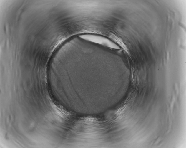 X0000094970204200712271750
