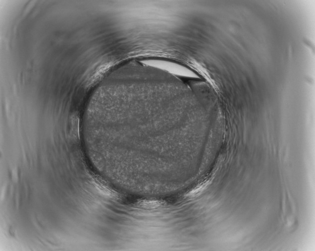 X0000094970205200712271750