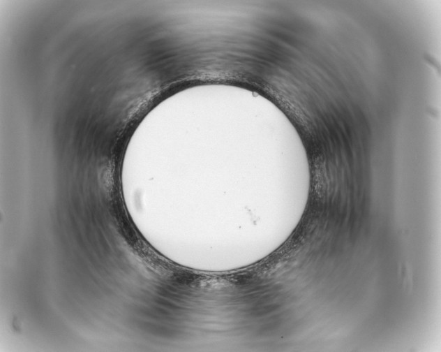 X0000094970208200712271750