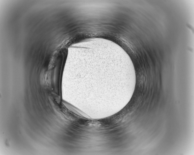 X0000094970214200712271750