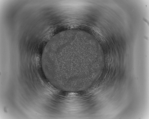 X0000094970222200712271750