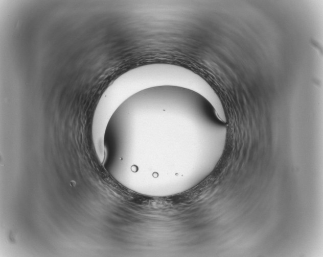 X0000094970223200712271750