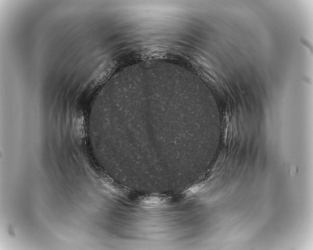 X0000094970224200712271750