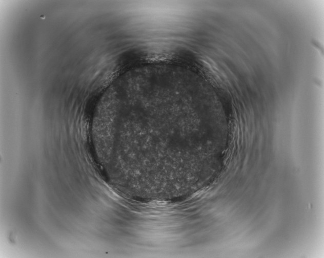 X0000094970227200712271750