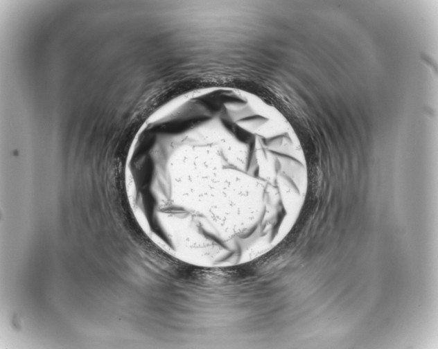 X0000094970229200712271750