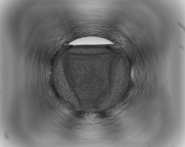 X0000094970235200712271749