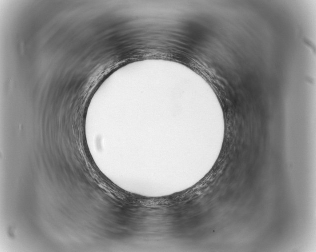 X0000094970241200712271749