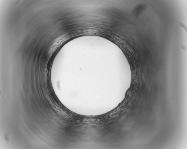 X0000094970242200712271749