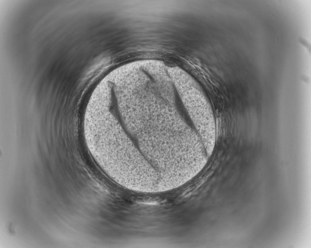 X0000094970243200712271749