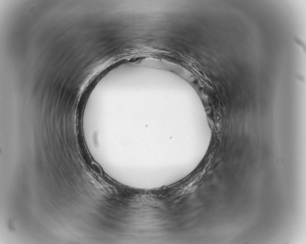 X0000094970244200712271749