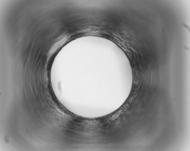 X0000094970245200712271749