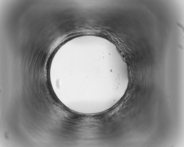 X0000094970246200712271749