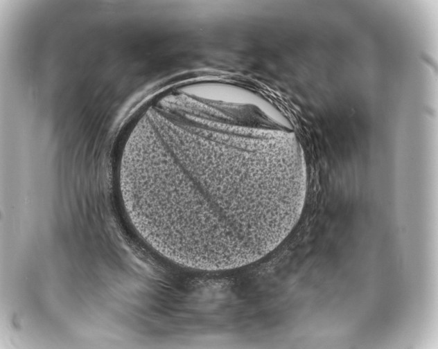 X0000094970247200712271749