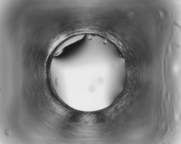 X0000094970248200712271749
