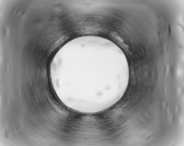 X0000094970250200712271749