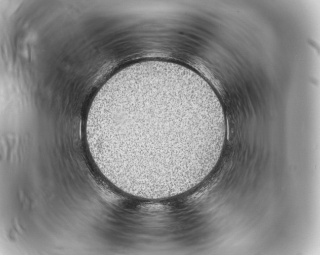 X0000094970253200712271749