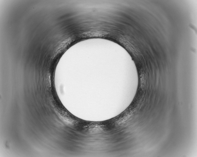 X0000094970254200712271749