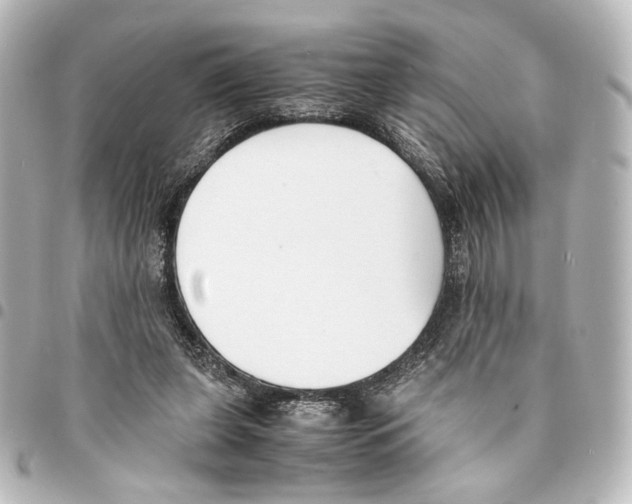 X0000094970255200712271749