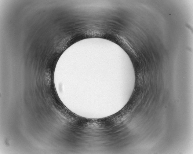 X0000094970259200712271749