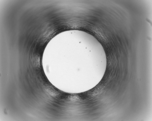 X0000094970262200712271749