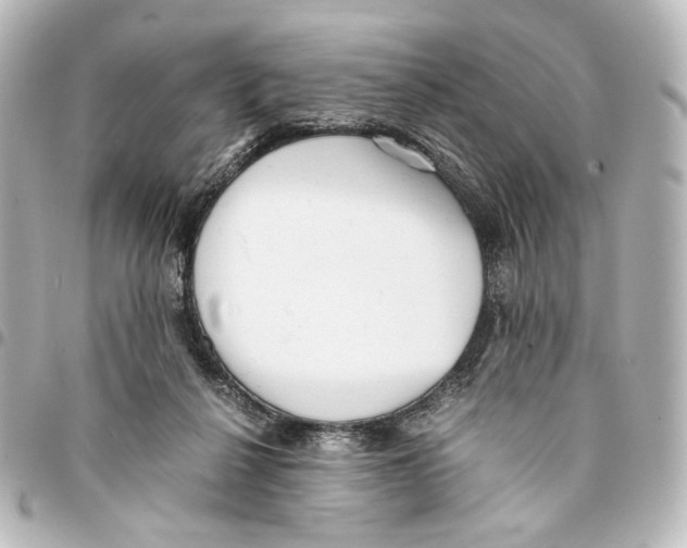 X0000094970264200712271749