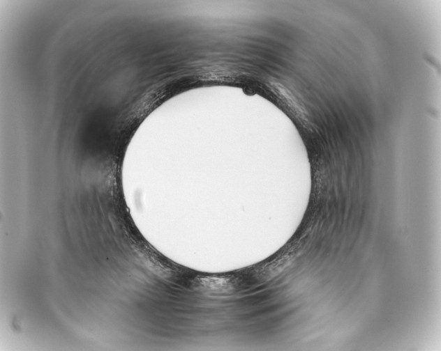 X0000094970265200712271749