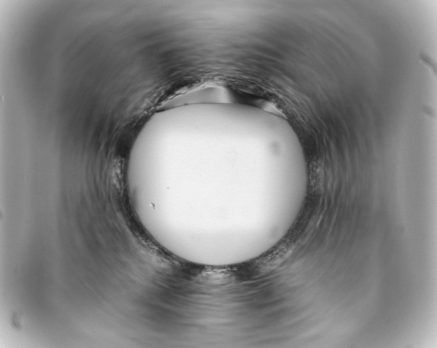 X0000094970280200712271749