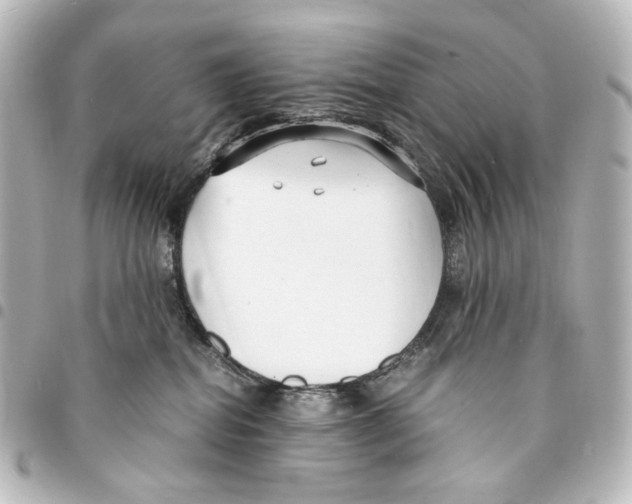 X0000094970282200712271749