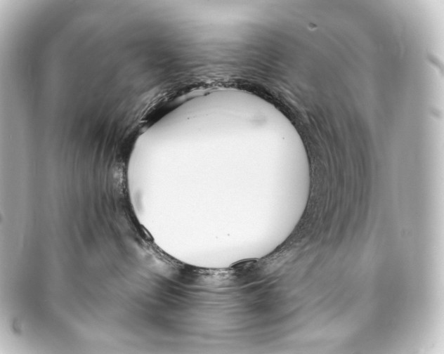X0000094970288200712271749