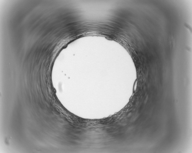 X0000094970289200712271749