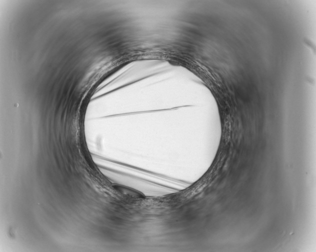 X0000094970290200712271749