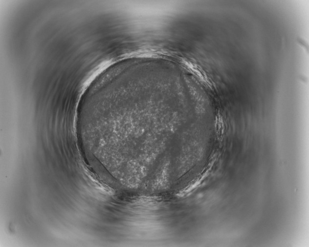 X0000094970292200712271749