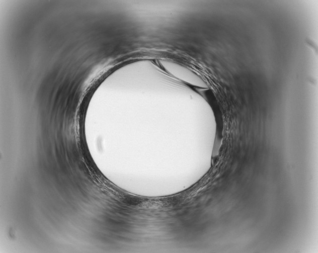 X0000094970294200712271749