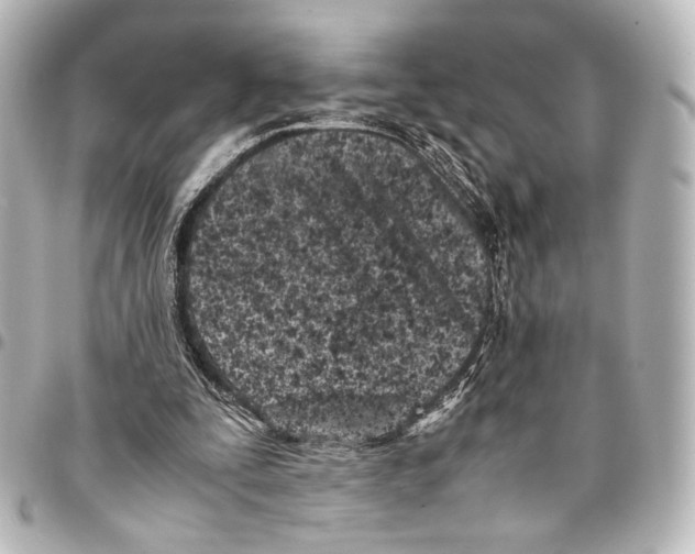 X0000094970295200712271749