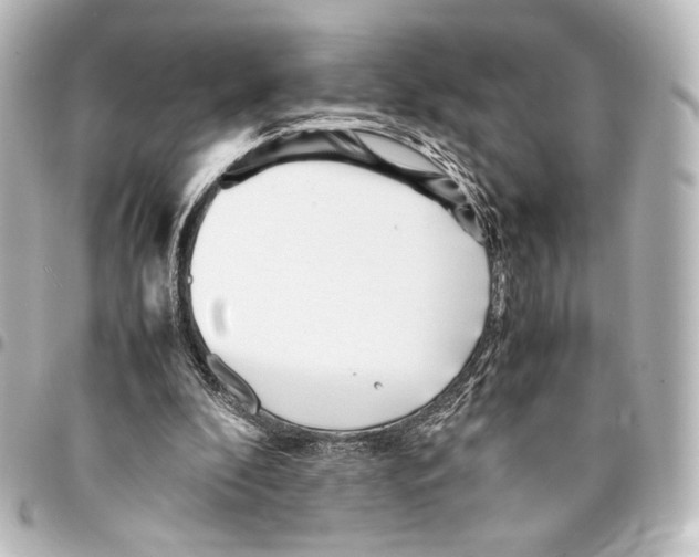 X0000094970296200712271749