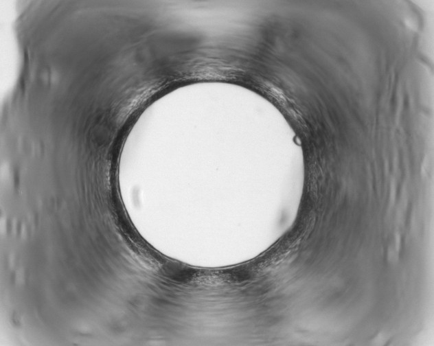 X0000094970299200712271749
