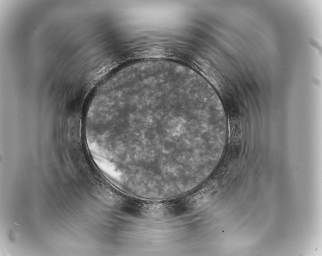 X0000094970301200712271749