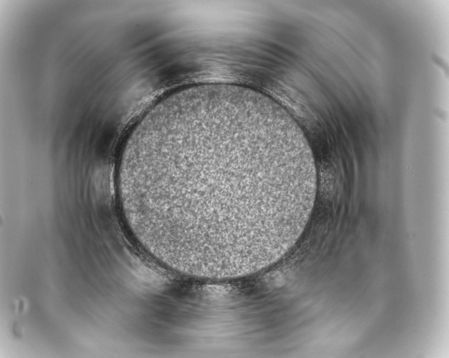 X0000094970302200712271749