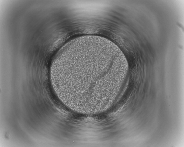 X0000094970303200712271749