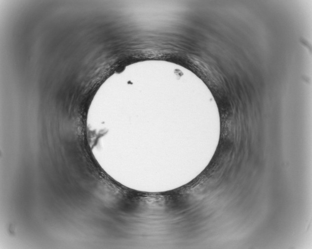 X0000094970317200712271748